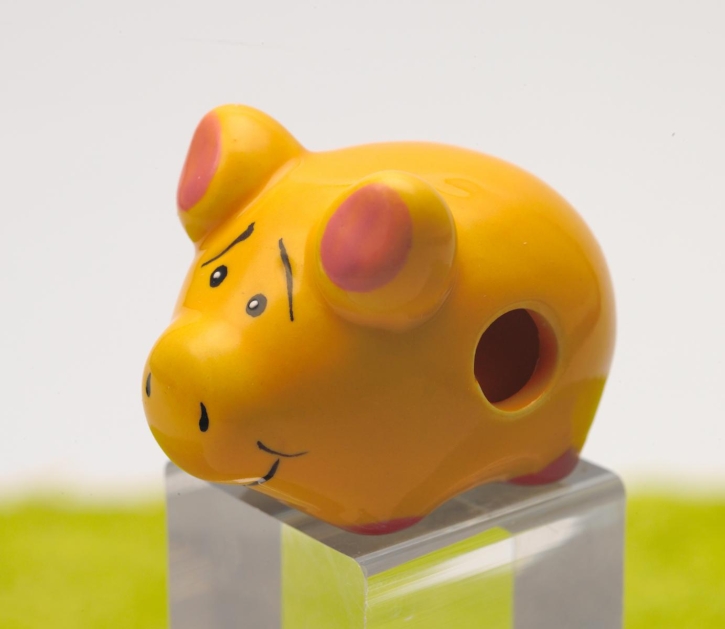 Magnet Porzellan Glückschwein Schein-Rein gelb 4,5 x 3,5 cm